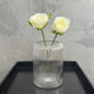 LINE VASE CLEAR