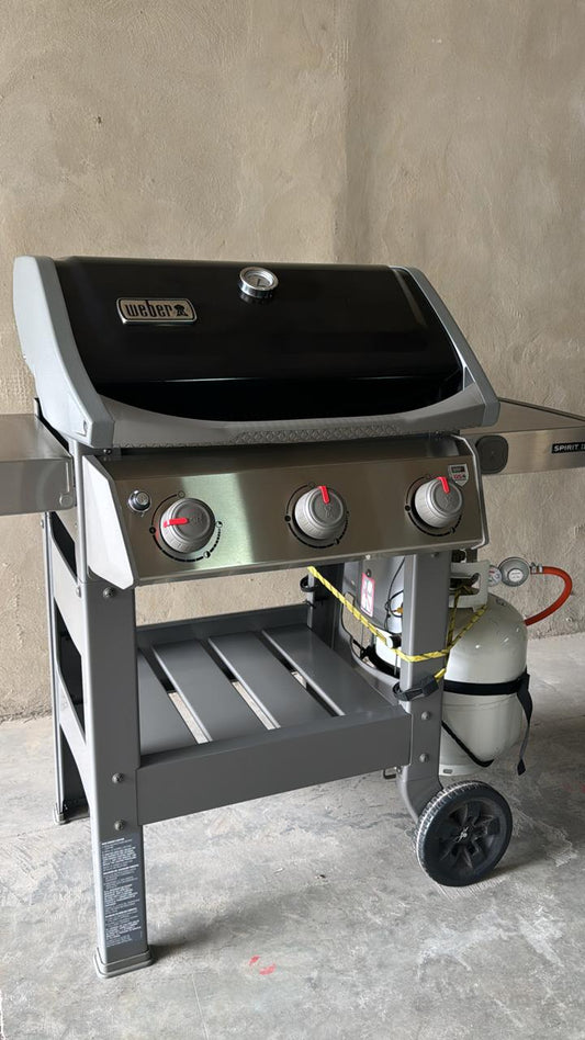 WEBER GAS BRAAI